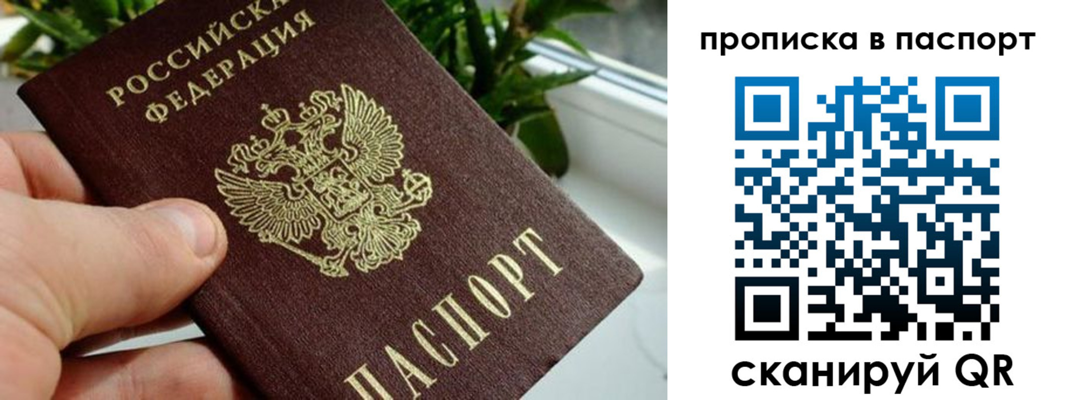 пропишу в квартире в Семилуках